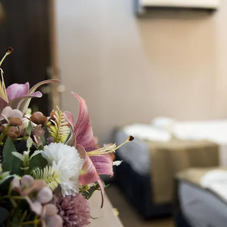 Apart-hotel Grand Bagoz Istambul